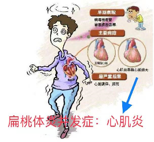 1691313722384.jpg 1691313722384.jpg