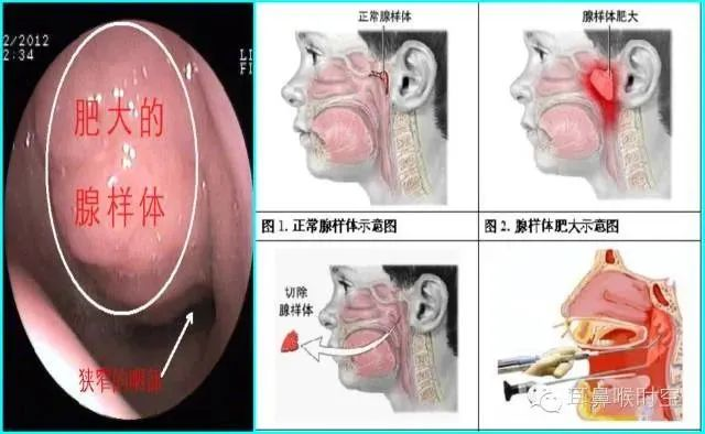 1691313786887.jpg 1691313786887.jpg