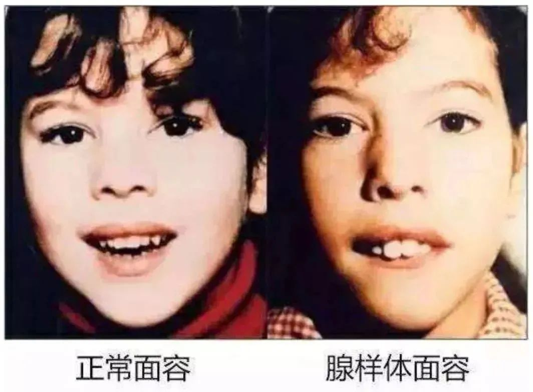 1691313861674.jpg 1691313861674.jpg